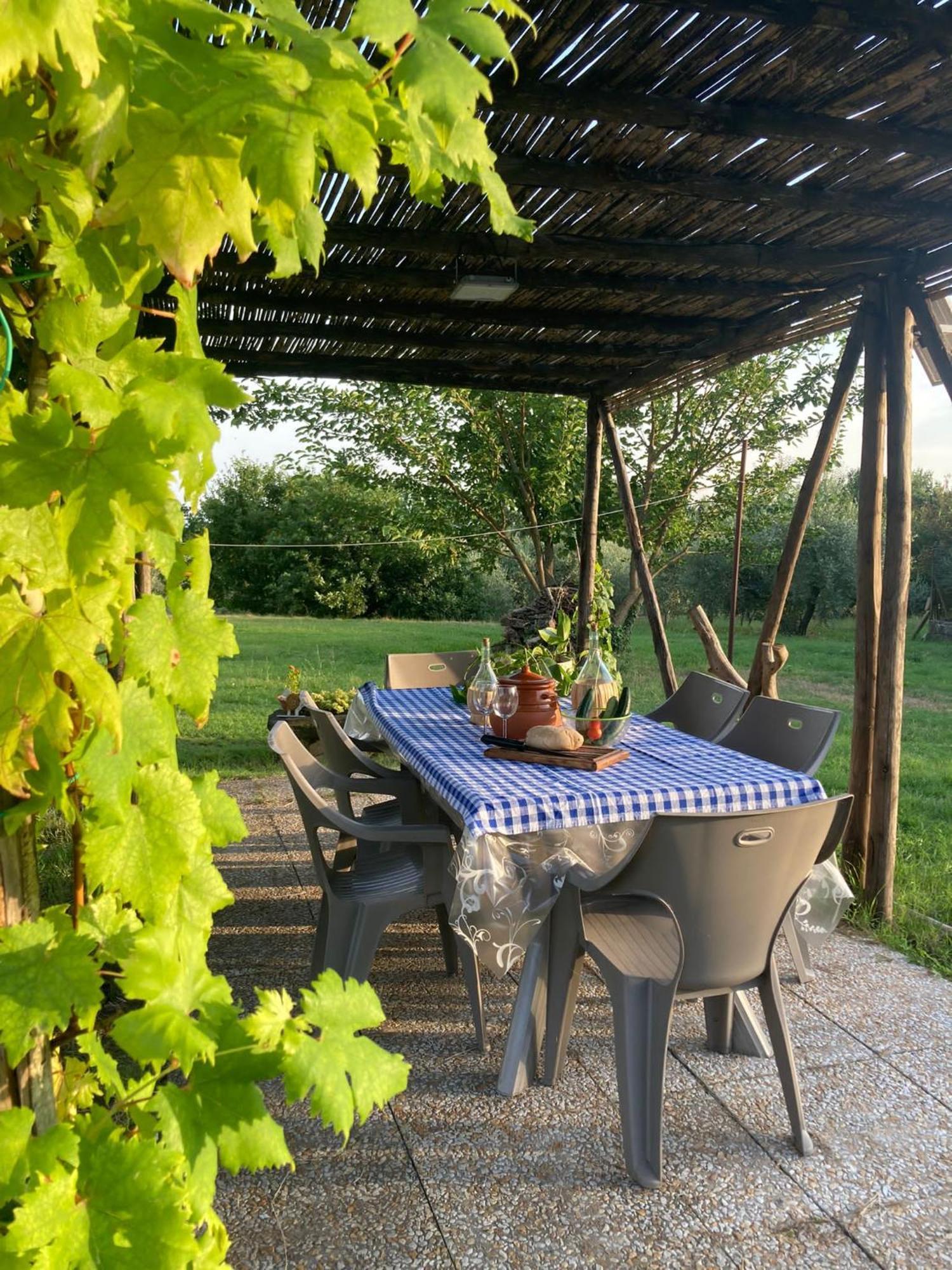 La Casa Nell'Aia Bed & Breakfast Monsummano Terme Exterior photo